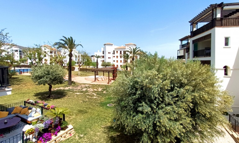 Sale - Apartment / Flat -
El Valle Golf Resort