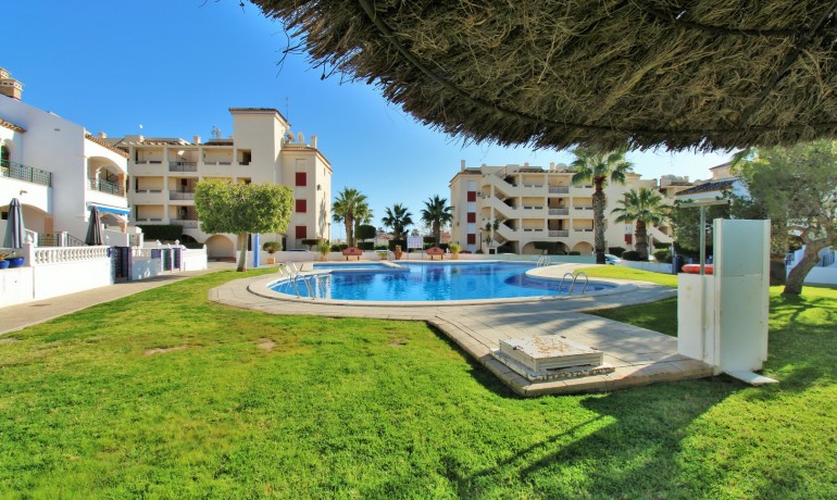 Venta - Apartamento / piso -
Playa Flamenca