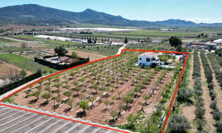 Sale - Villa -
Hondón de las Nieves - Hondón de las Nieves*