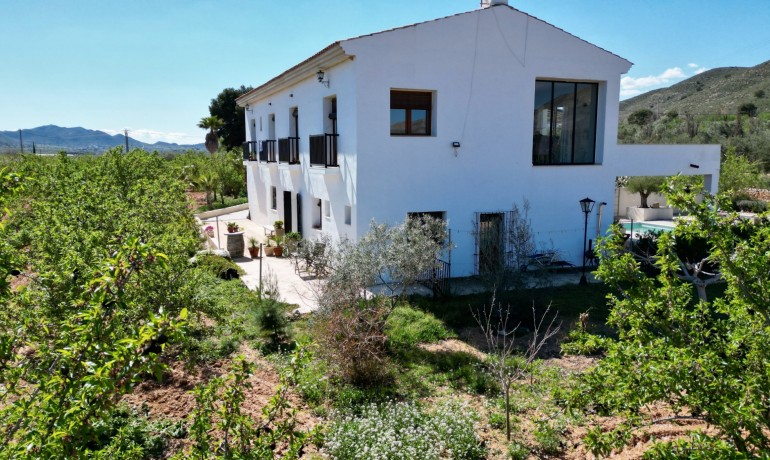 Sale - Villa -
Hondón de las Nieves - Hondón de las Nieves*