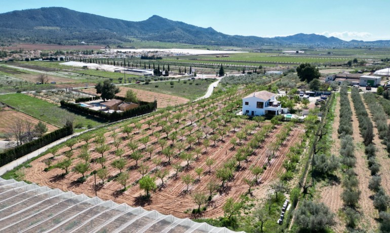 Sale - Villa -
Hondón de las Nieves - Hondón de las Nieves*