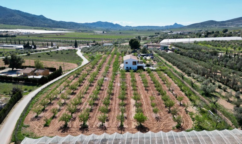 Sale - Villa -
Hondón de las Nieves - Hondón de las Nieves*