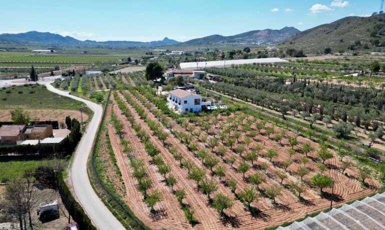 Sale - Villa -
Hondón de las Nieves - Hondón de las Nieves*