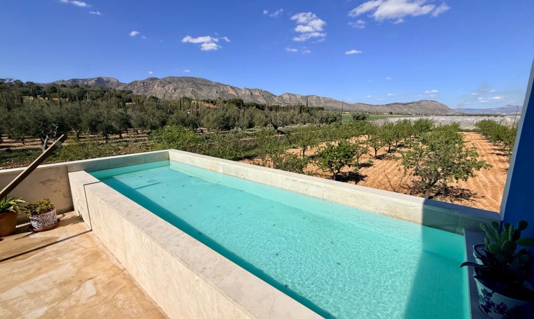 Sale - Villa -
Hondón de las Nieves - Hondón de las Nieves*