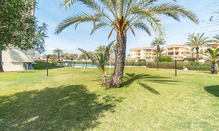 Revente - Appartement / Flat -
Torrevieja* - Rocio del mar