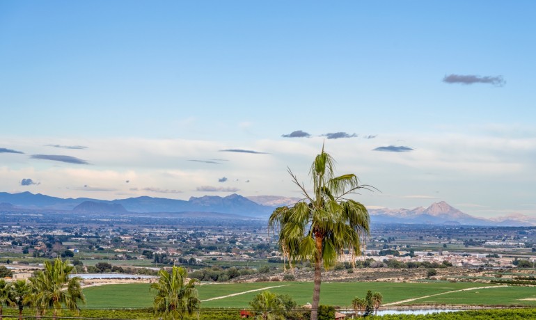 Sale - Villa -
Algorfa - Lomas de La Juliana