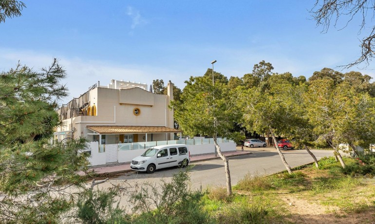 Revente - Villa -
Guardamar del Segura* - Urbanizaciones