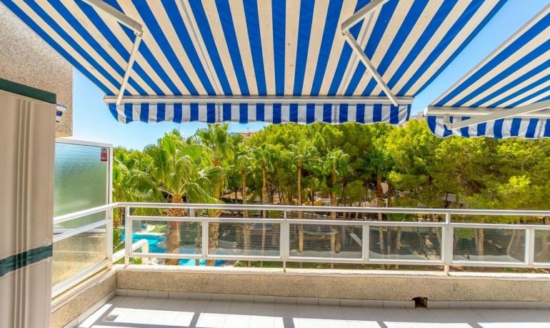 Venta - Apartamento / piso -
Dehesa de campoamor - Altos de campoamor