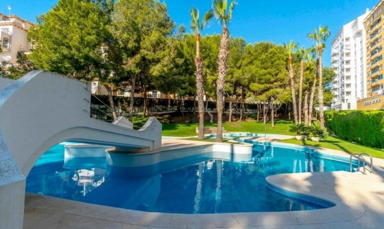 Venta - Apartamento / piso -
Dehesa de campoamor - Altos de campoamor