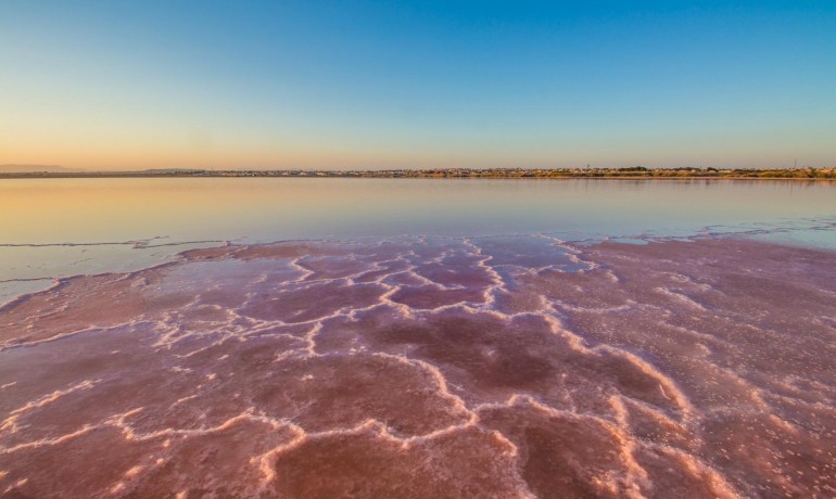 Herverkoop - Appartement / Flat -
Torrevieja* - La Mata