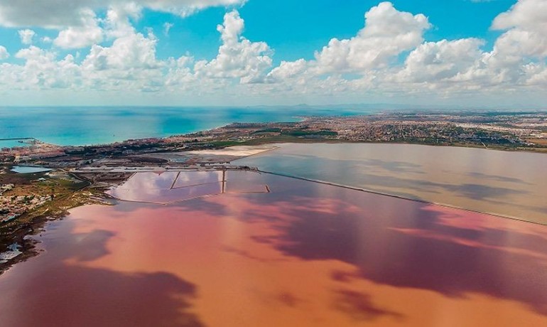 Herverkoop - Appartement / Flat -
Torrevieja* - La Mata