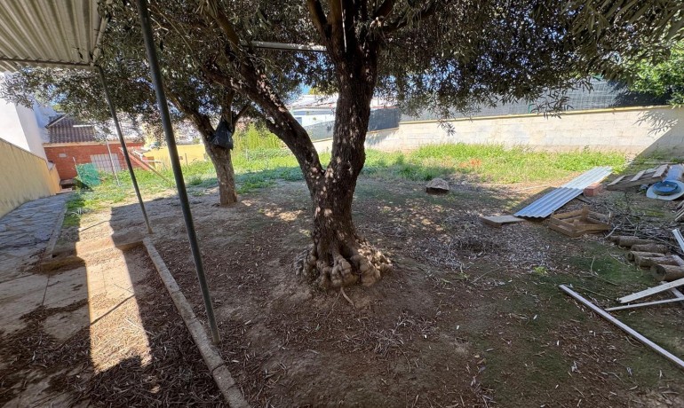 Revente - Villa -
Torrevieja* - Los balcones