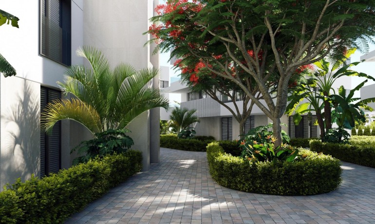 Nueva construcción  - Apartamento / piso -
Torre Pacheco - Santa Rosalia Lake And Life Resort