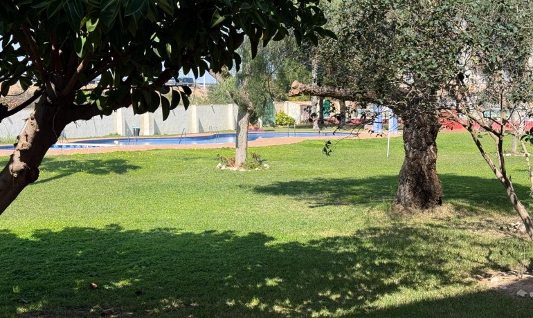 Revente - Appartement / Flat -
Torrevieja* - Parque de las Naciones