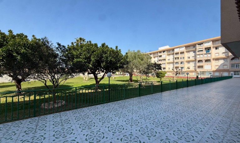 Revente - Appartement / Flat -
Torrevieja* - Parque de las Naciones
