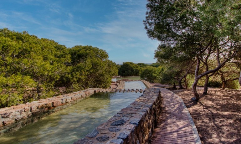 Venta - Casa -
Torrevieja - Aguas Nuevas