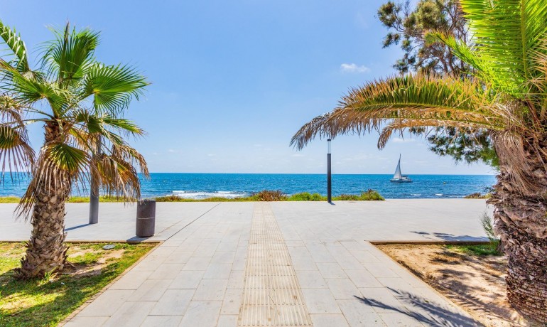 Venta - Casa -
Torrevieja - Aguas Nuevas