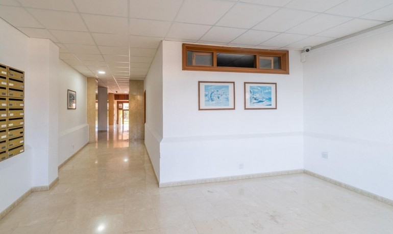 Sale - Apartment / Flat -
Orihuela Costa* - La Zenia