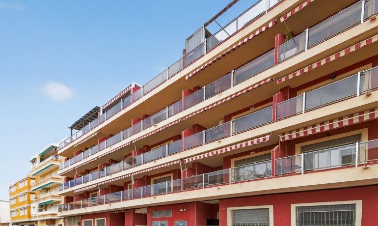 Venta - Apartamento / piso -
Guardamar - CENTRO