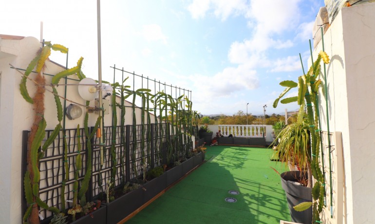 Revente - Maison -
Redovan - Redovan - Town