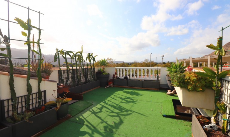 Revente - Maison -
Redovan - Redovan - Town