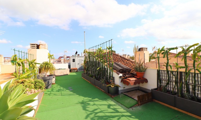 Revente - Maison -
Redovan - Redovan - Town