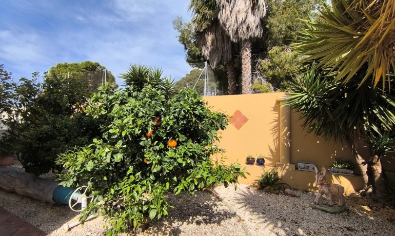 Herverkoop - Villa -
Guardamar del Segura - El Raso