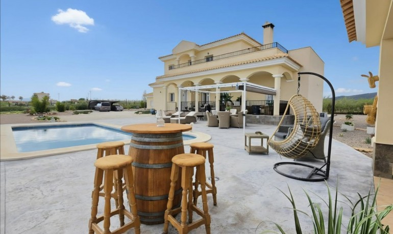 Sale - Finca / Country Property -
Pinoso - Pinoso - Country