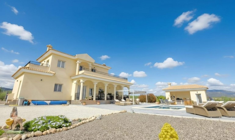 Sale - Finca / Country Property -
Pinoso - Pinoso - Country