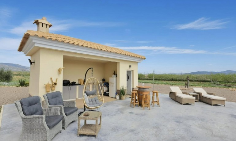 Sale - Finca / Country Property -
Pinoso - Pinoso - Country