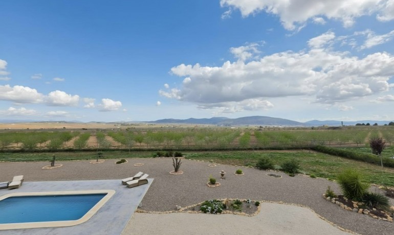 Sale - Finca / Country Property -
Pinoso - Pinoso - Country