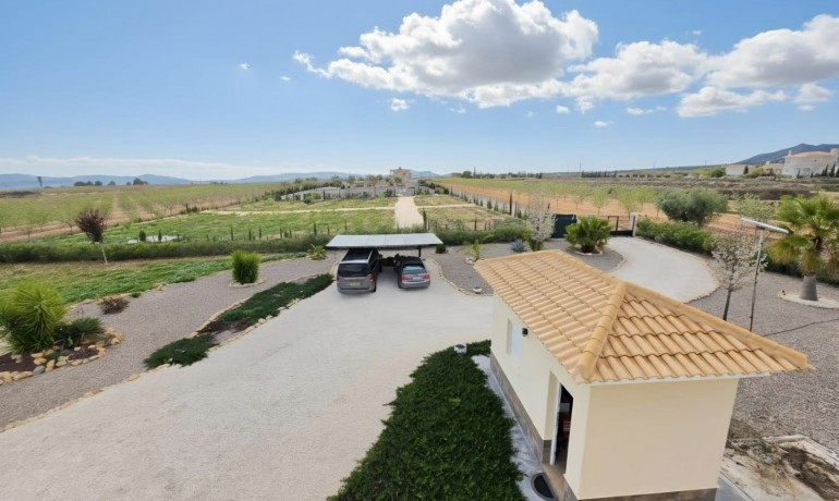 Sale - Finca / Country Property -
Pinoso - Pinoso - Country