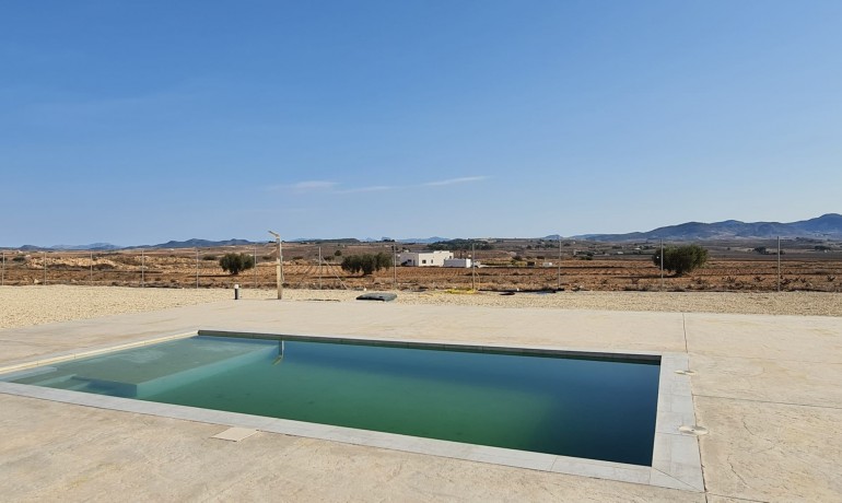 Sale - Finca / Country Property -
Pinoso - Pinoso - Country