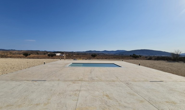 Sale - Finca / Country Property -
Pinoso - Pinoso - Country