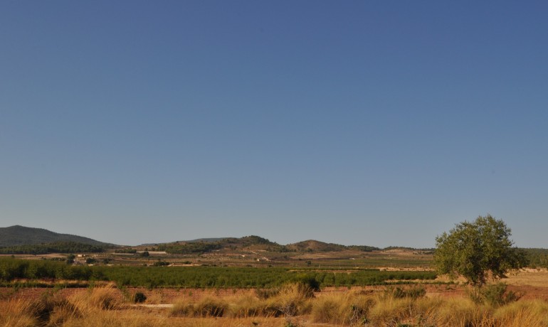 Herverkoop - Finca / Landgoed -
Pinoso - Pinoso - Town