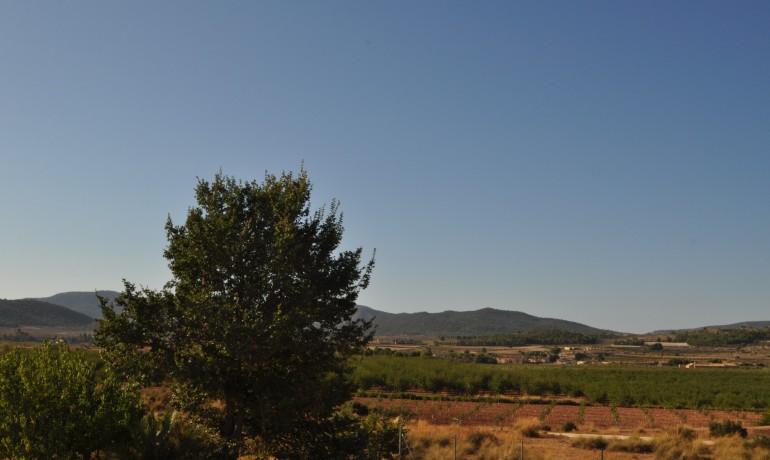 Herverkoop - Finca / Landgoed -
Pinoso - Pinoso - Town