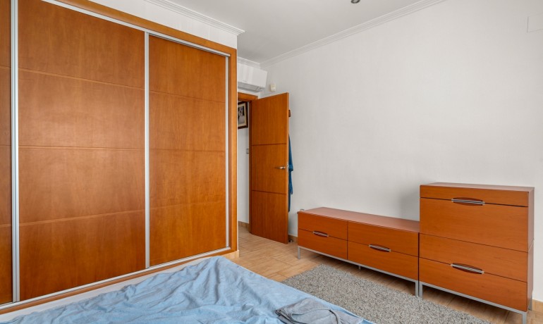 Venta - Finca -
Crevillente