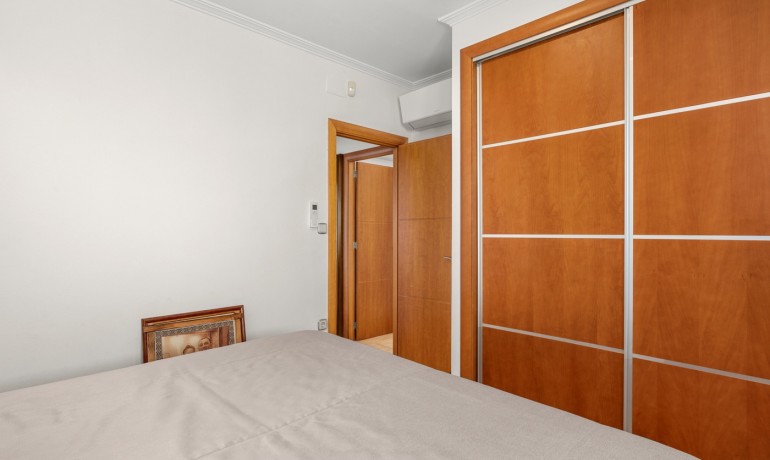 Venta - Finca -
Crevillente