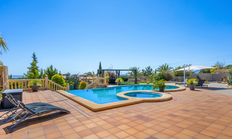 Venta - Finca -
Crevillente