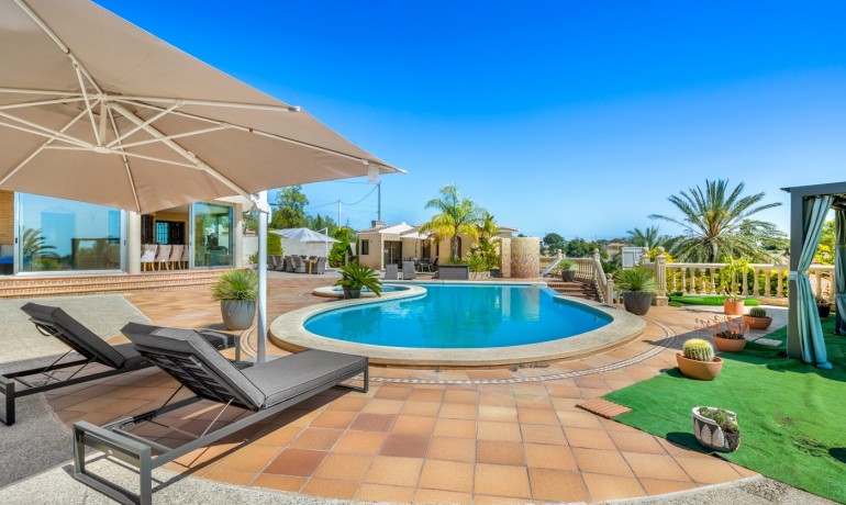 Venta - Finca -
Crevillente