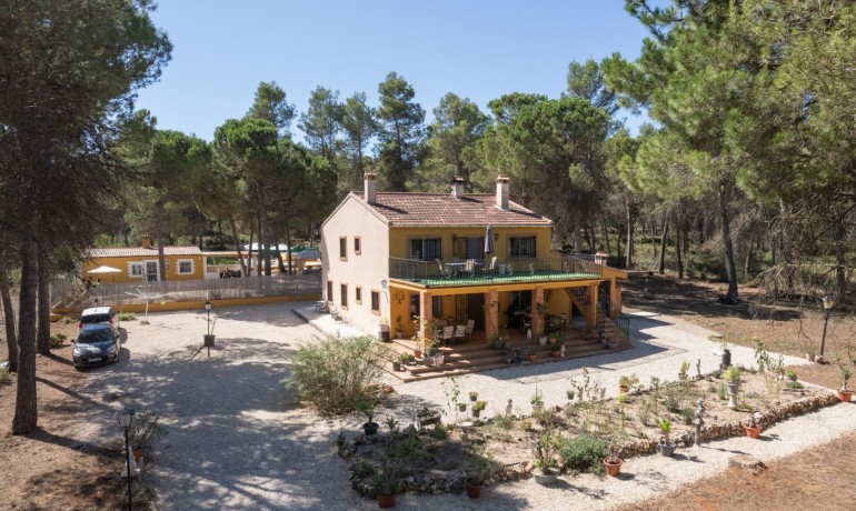 Sale - Finca Country Property -
Bocairent - Inland