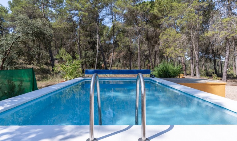 Sale - Finca Country Property -
Bocairent - Inland