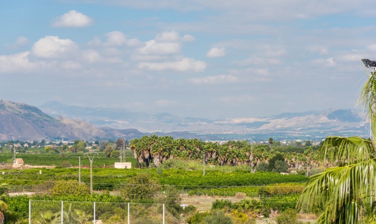 Sale - Apartment / Flat -
Jacarilla