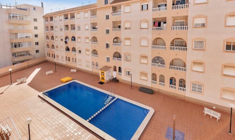 Herverkoop - Appartement / Flat -
Torrevieja* - Estacion de autobuses