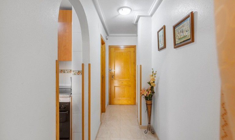 Herverkoop - Appartement / Flat -
Torrevieja* - Estacion de autobuses