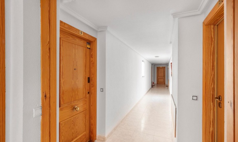 Herverkoop - Appartement / Flat -
Torrevieja* - Estacion de autobuses