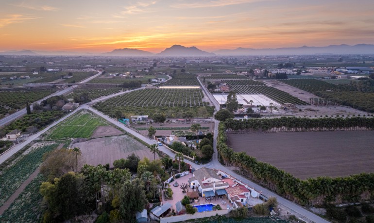 Sale - Finca / Country Property -
Daya Nueva - Daya Nueva - Country