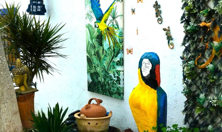 Sale - Finca / Country Property -
Daya Nueva - Daya Nueva - Country