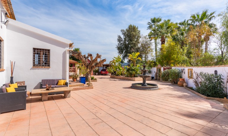 Sale - Finca / Country Property -
Daya Nueva - Daya Nueva - Country