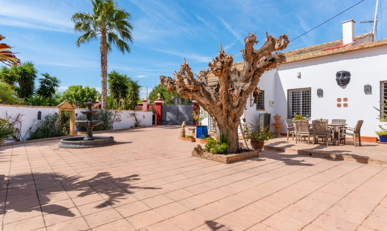 Sale - Finca / Country Property -
Daya Nueva - Daya Nueva - Country